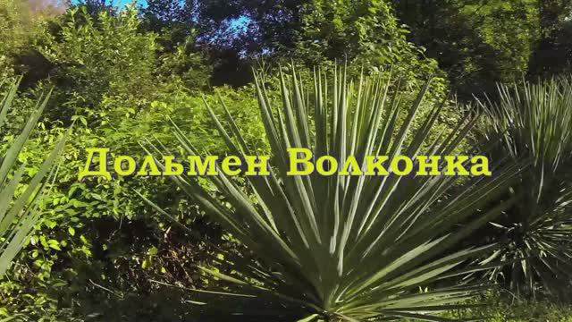 Дольмен, Волконка.