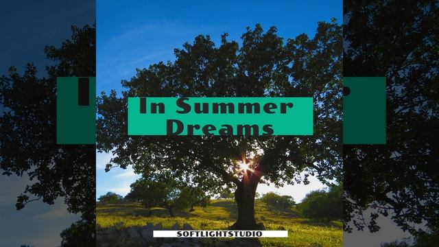 In Summer Dreams