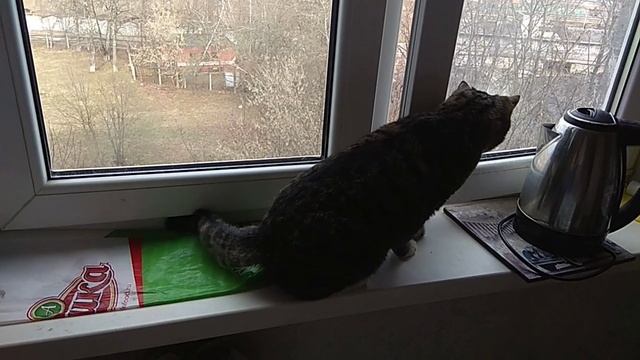 Падение с Олимпа