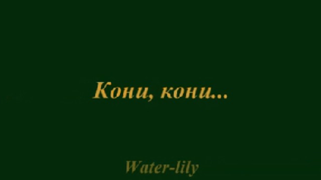 Кони, кони...