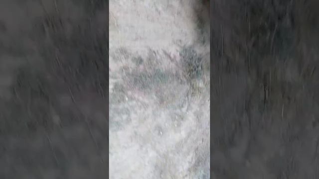 Свалка строительного мусора на берегу Днепра в Антоновке активно продолжается