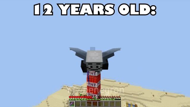 how people played minecraft at different ages