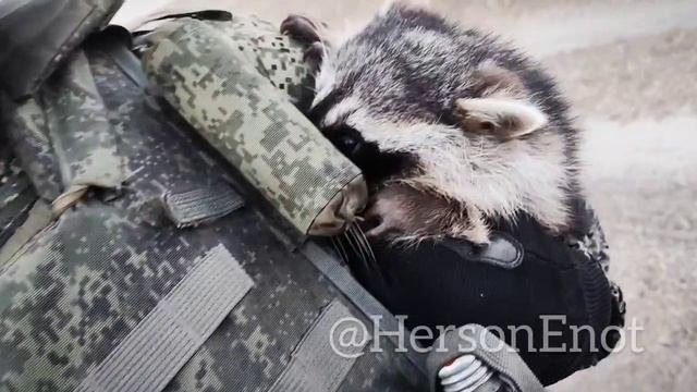 От полосатых Братьев с фронта