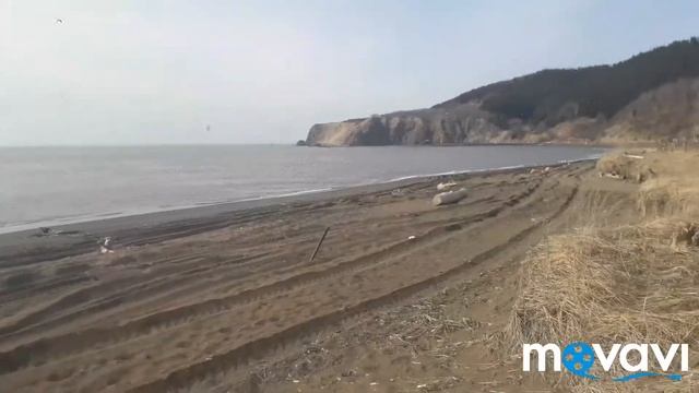 Едем за  рыбкой мойвой