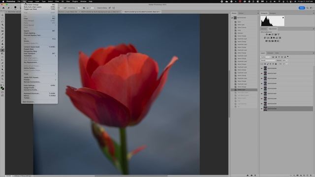 AI Focus Stacking | How good is it? Luminar Neo compared to Photoshop Auto Blend.