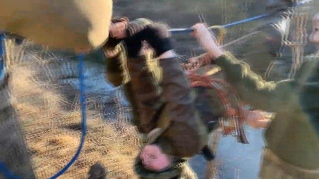 Совместная тренировка в Александрийской