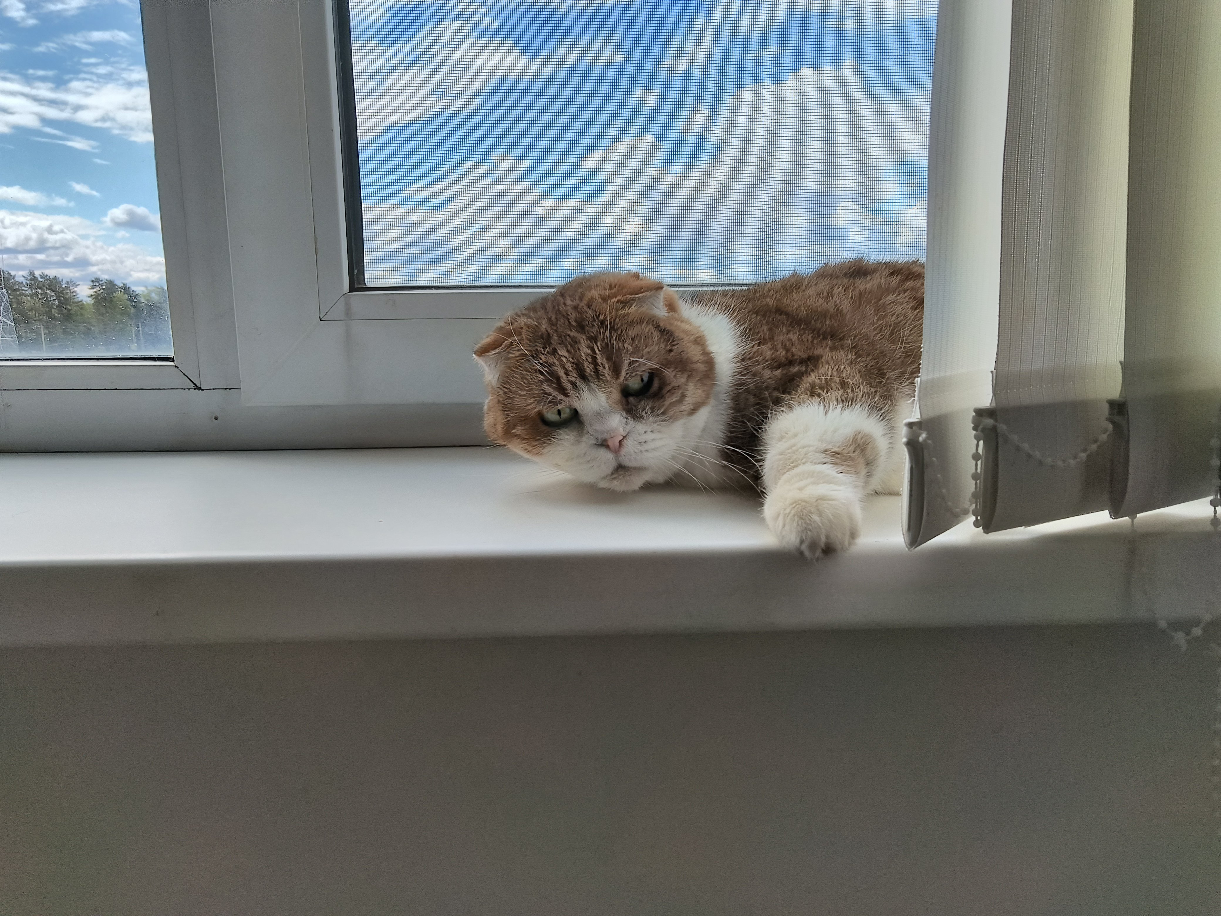 🌃 ночь