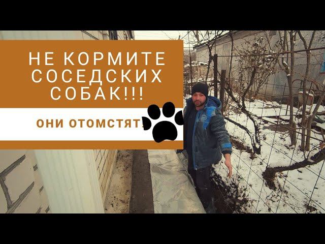 ПЕРЕЕЗД В ДЕРЕВНЮ \ ДЕЛАЕМ ДРЕНАЖ #купилдомвдеревне #переездвдеревню #хутор