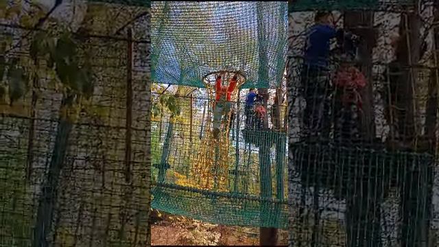 VID-20230930-WA0005.mp4