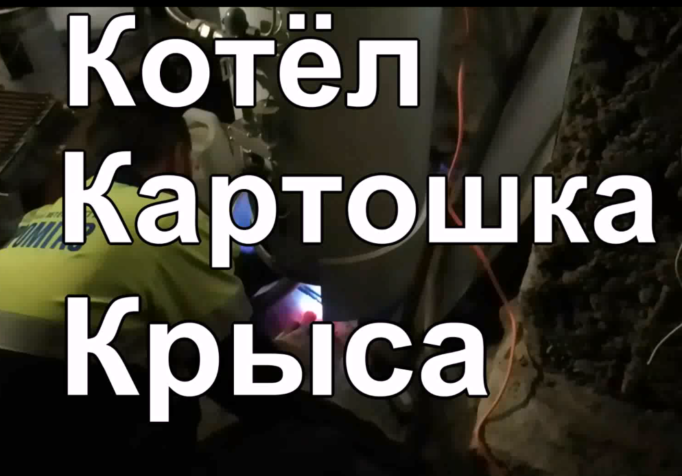 Котёл, картошка, крыса.