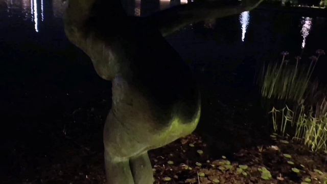Ночь, Сколково, пруд, скульптура Пловчиха прыгает в воду под музыку Бурито, Мама е (computer cover)