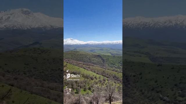 Красота весны побеждает