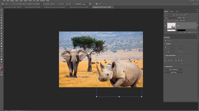«Photoshop для детей». Выделение. Фон. Трансформирование. Свойства