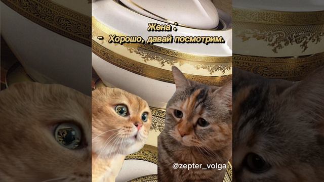 Сервиз