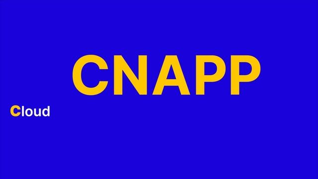 What is CNAPP?