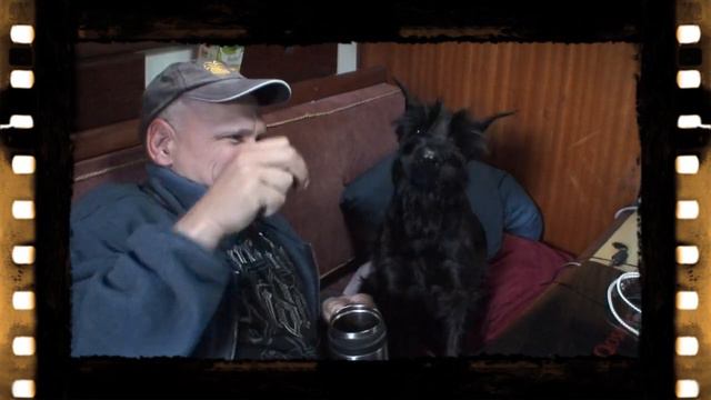 п-к  Роман-Кош..Роман-Кош Киви Свет. дочь РК Баттерфляй. kivi eats lemon