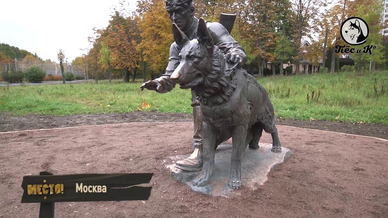 Место! Памятник военному инструктору с собакой