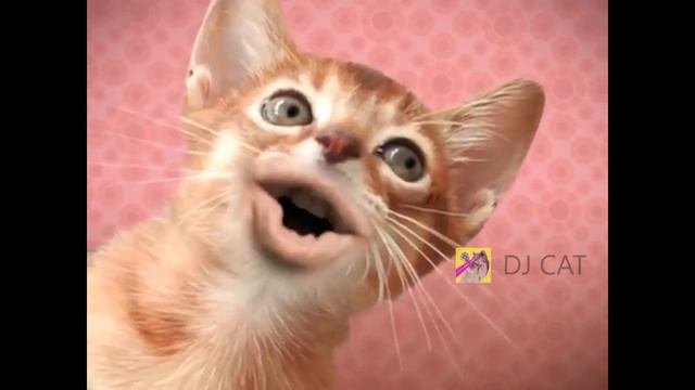 Spooky Scary Skeletons Song Cat Cover