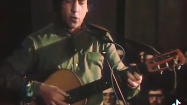 Кони привередливые