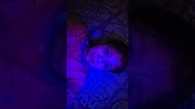 Хаха не чего было снять