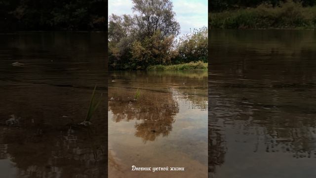 Наслаждение тишиной и течением воды