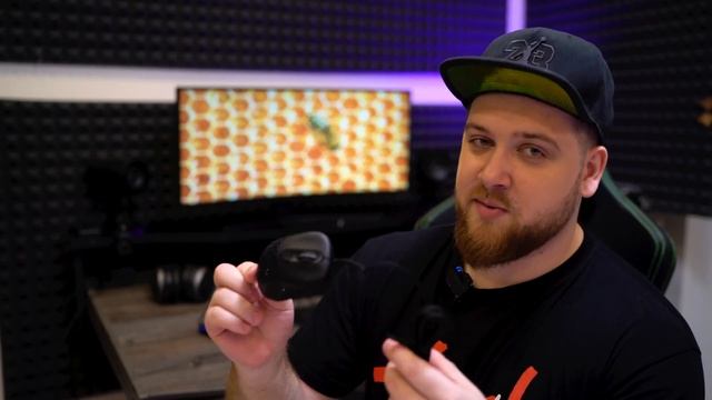 Дырявые Мыши за 990р