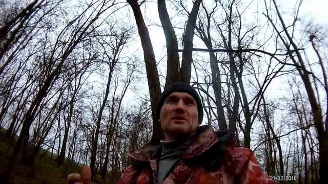 признайтесь, кто накручивает мне подписчиков?)