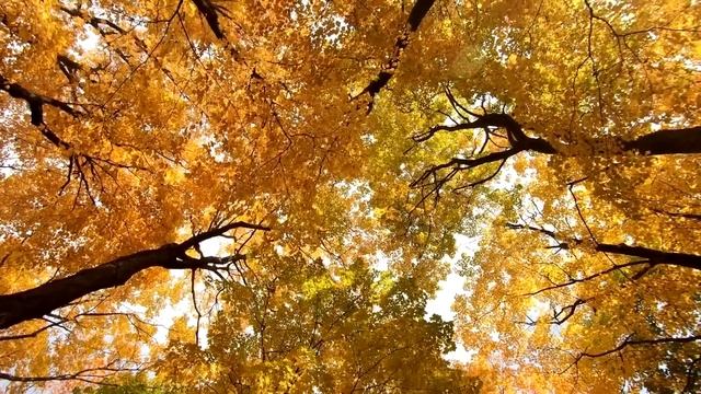 Умирающий миллионер ехал доживать в дом своей матери. Но найдя в нём малышку, оцепенел увидев точну