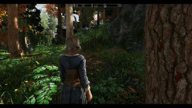 Skyrim 2022 Pi-Cho Nature of the Wildlands