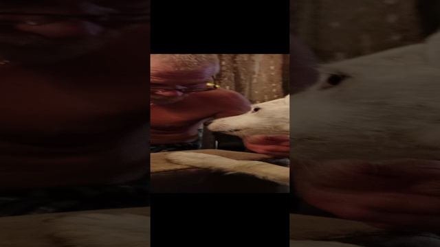 Вот так поцелуй 😯