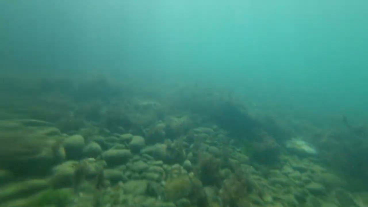 Подводная охота на Краба! 18.09.22