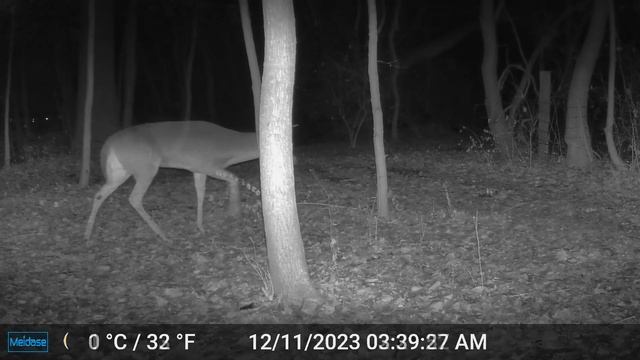 Game camera 12-20-23