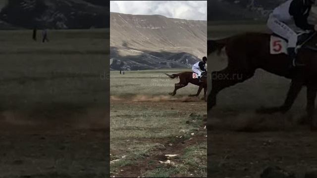 Дагестан. Dagestan. 达吉斯坦 29