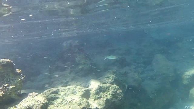 Турция Мармарис - Ичмелер: снорклинг дайвинг. Turkey Marmaris - Icmeler: diving snorkeling.