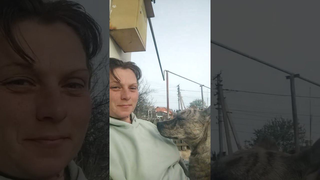 ягодка моя #виделивидео #моясобака #моипитомцы #жизньвчастномдоме #doglover
