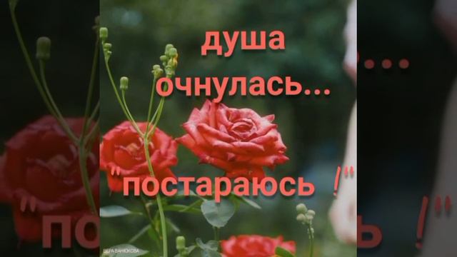 1000083815.mp4Душа сказала : "Я устала..."