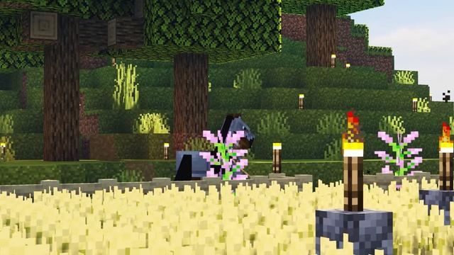 Minecraft Stock Video: Penguin Server