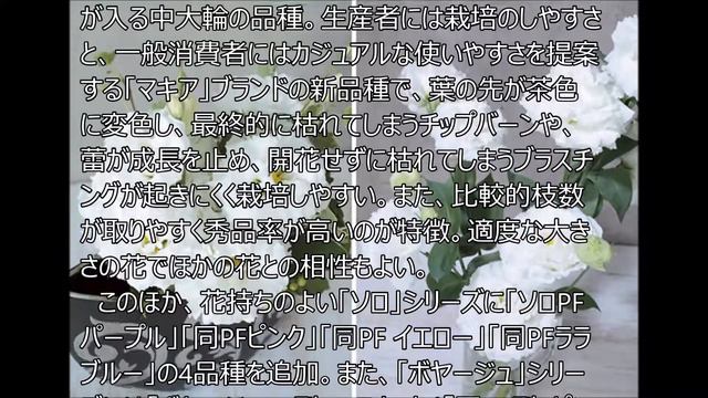 【農業ニュース】トルコギキョウに8品種追加　サカタのタネ