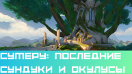 Последние сундуки и дендрокулы в Сумеру|Геншин