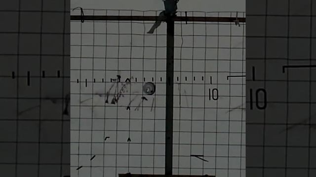 Dobermann 350 и баночка на 34 метра.