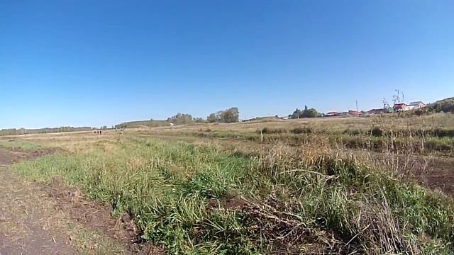 Шербакуль 19.06.16