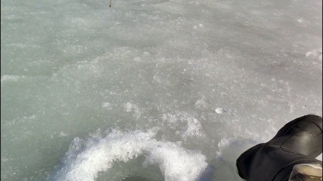ОПАСНЫЙ ПОСЛЕДНИЙ ЛЁД!ЛОВЛЯ ПОДЛЕЩИКА ЧЕБАКА НА ЧЁРТИК