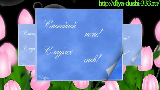 Спокойной ночи, приятных снов!