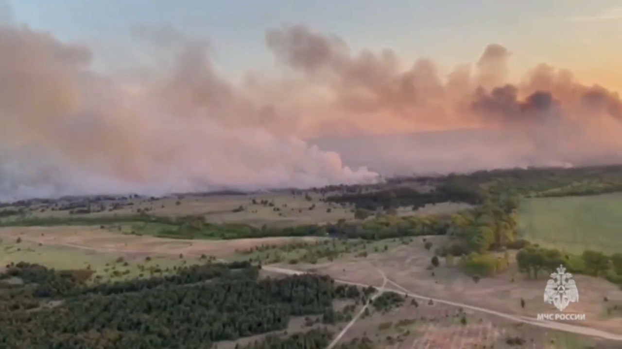 Лесной пожар локализован на 169 га в Ростовской области — видео