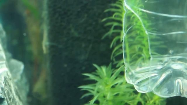 Самодельный реактор СО2