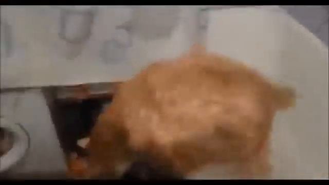 Это нужно увидеть   подборка видео скошками