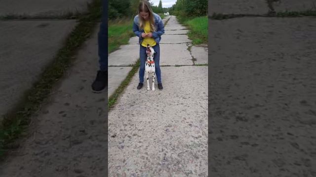 ДЖЕДАЙ С НЕВСКИХ ОСТРОВОВ