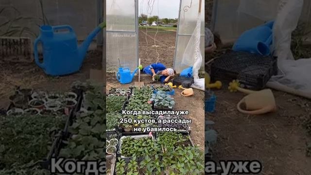 Домашний уют Рукоделие рецепты быт (2)