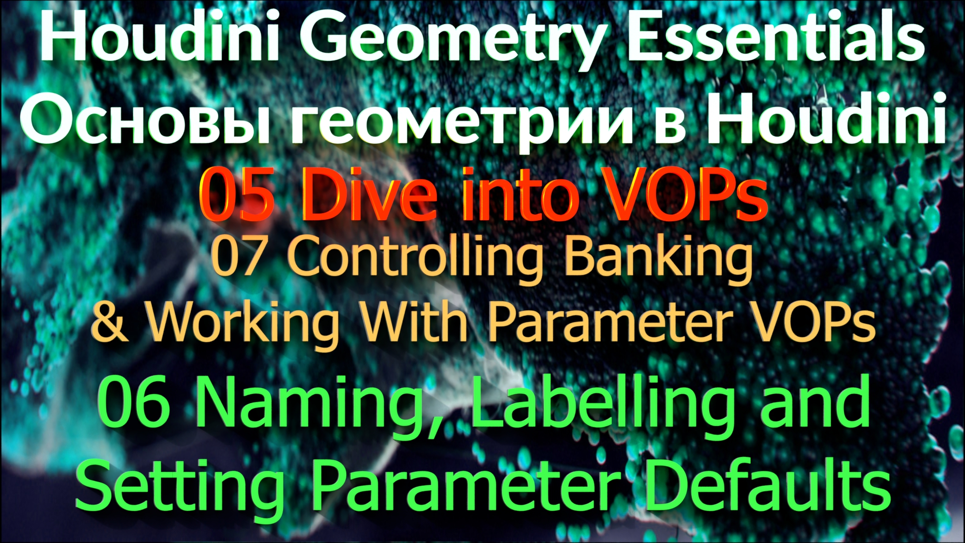 05_07_06 Naming, Labelling and Setting Parameter Defaults