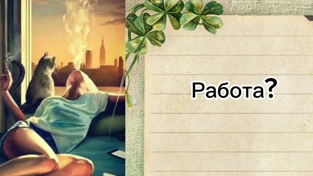 Барсик  - свидетель